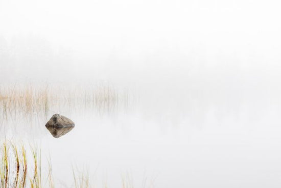 PHOTOWALL / Silent Morning (e313023)