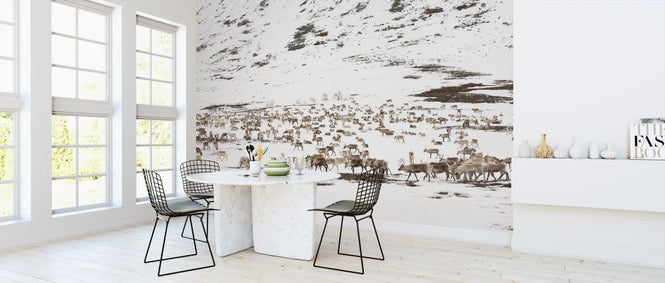 PHOTOWALL / Reindeers in Winter Landscape (e313027)