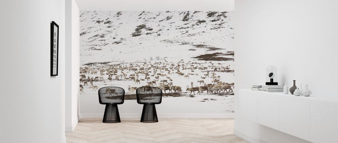 PHOTOWALL / Reindeers in Winter Landscape (e313027)