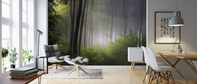 PHOTOWALL / Forest Morning (e312977)