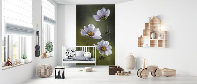 PHOTOWALL / Cosmos (e313002)
