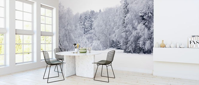 PHOTOWALL / Forest Snow (e313244)
