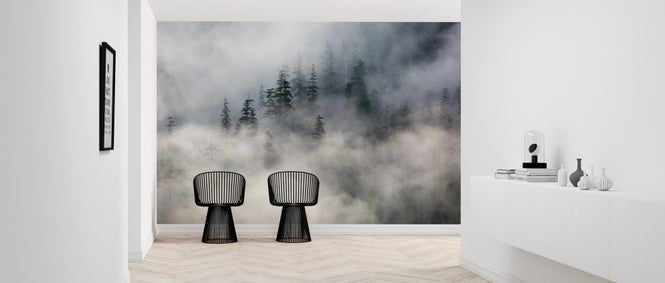 PHOTOWALL / Forest Fog (e313550)