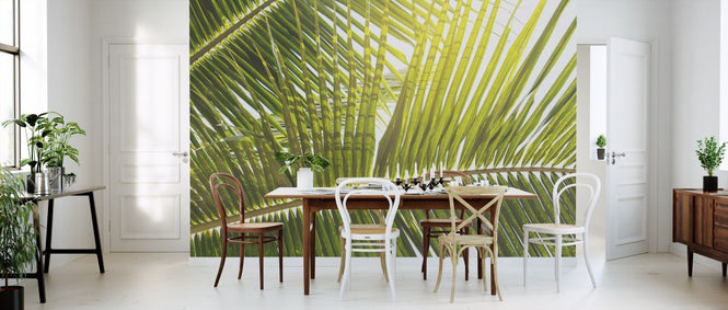 PHOTOWALL / Sunlight through Palm Leaf (e313889)