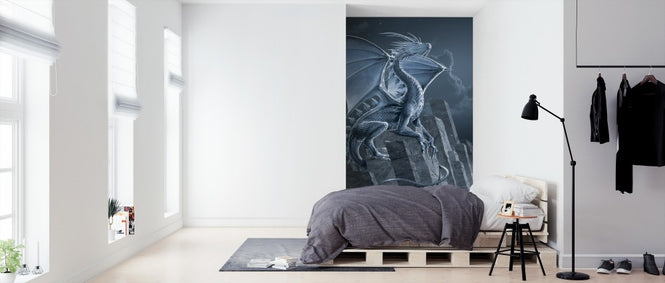PHOTOWALL / Silver Dragon (e313855)
