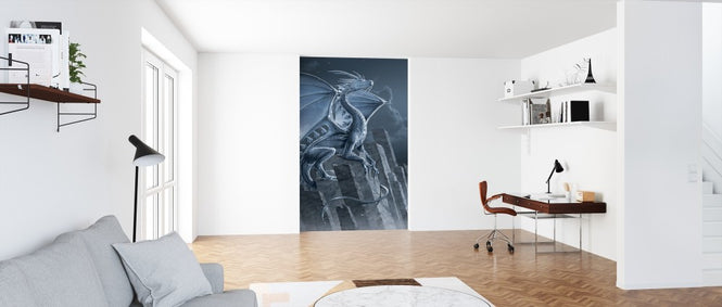 PHOTOWALL / Silver Dragon (e313855)