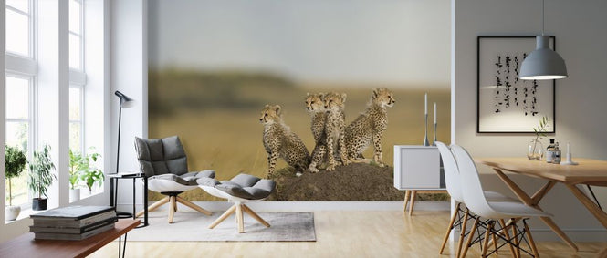 PHOTOWALL / Cheetah Cubs (e314493)