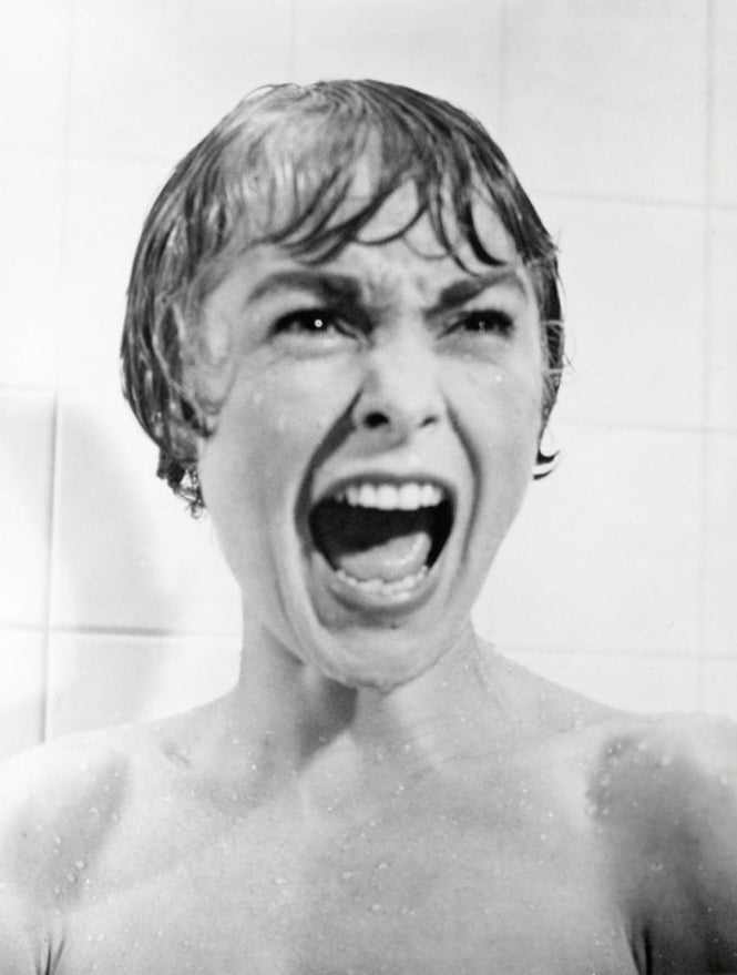 PHOTOWALL / Janet Leigh in Psycho (e314795)