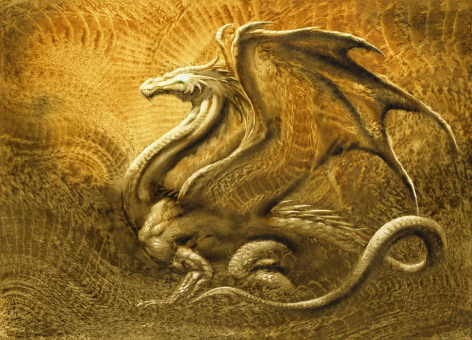 PHOTOWALL / Dragon (e315464)