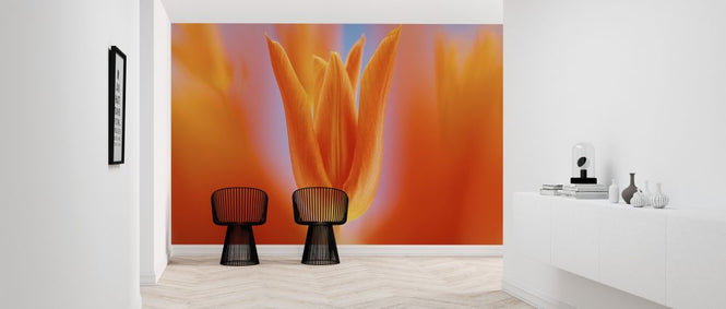 PHOTOWALL / Flower Blooming (e315318)