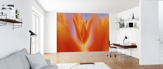 PHOTOWALL / Flower Blooming (e315318)