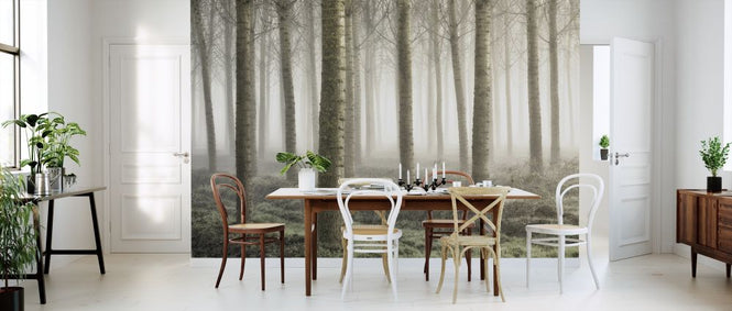 PHOTOWALL / Small Woodland (e315382)