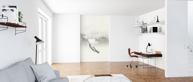 PHOTOWALL / Sky Diver (e315743)