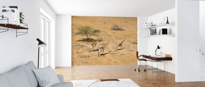 PHOTOWALL / Family Paradise (e315410)