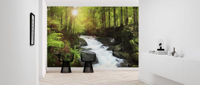 PHOTOWALL / Mountain Stream Waterfall (e315827)