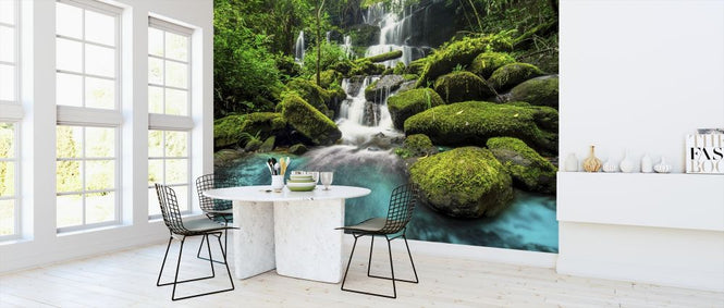 PHOTOWALL / Green Forest Waterfall (e315853)