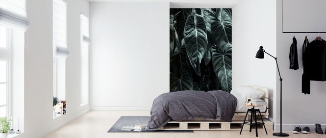 PHOTOWALL / Jungle (e315968)