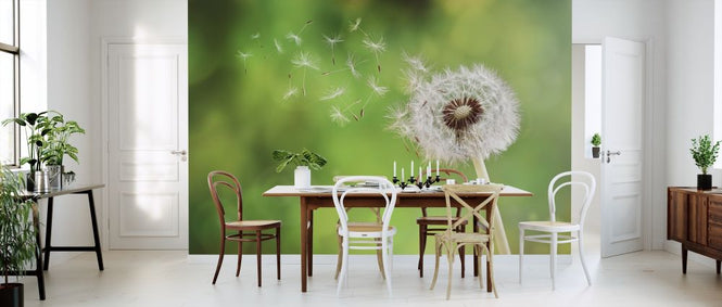 PHOTOWALL / Dandelion Dispersing Seed (e315908)