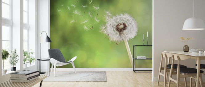 PHOTOWALL / Dandelion Dispersing Seed (e315908)