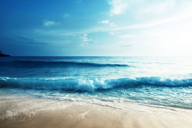 PHOTOWALL / Seychelles Beach (e315921)
