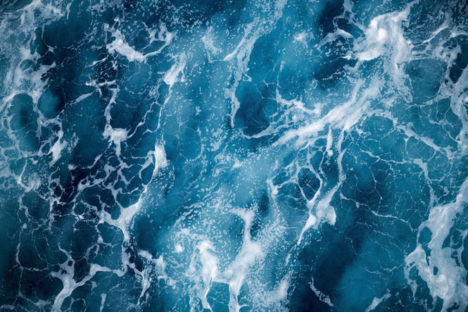 PHOTOWALL / Deep Sea Foaming (e316075)