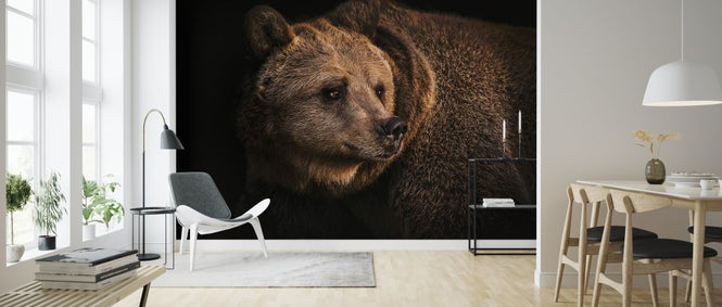 PHOTOWALL / Brown Bear (e316507)