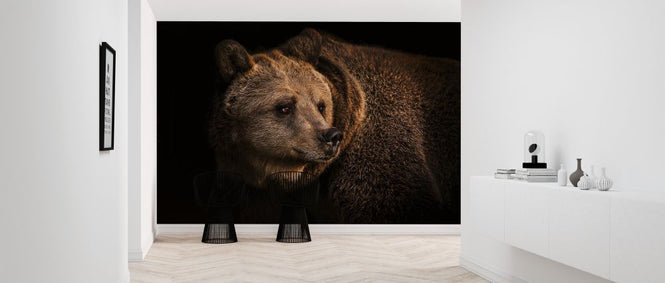 PHOTOWALL / Brown Bear (e316507)