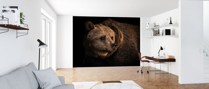 PHOTOWALL / Brown Bear (e316507)