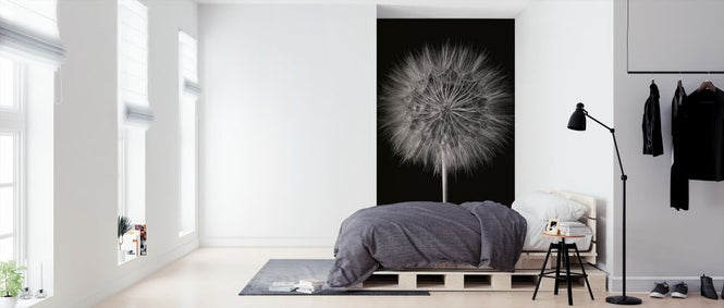 PHOTOWALL / Dandelion Fluff on Black (e316197)