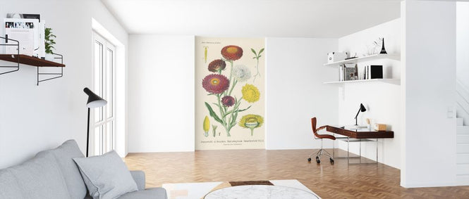 PHOTOWALL / Antique Botanical (e316429)