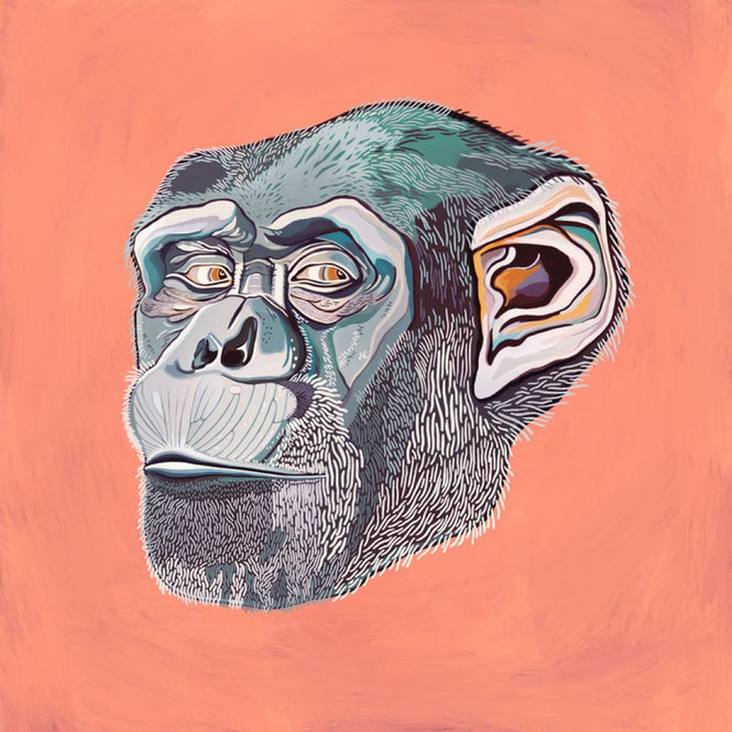 PHOTOWALL / Ape (e317243)