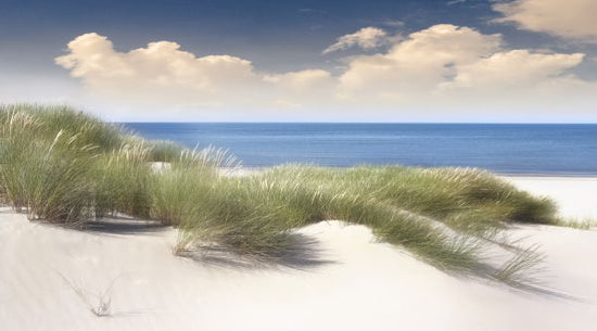 PHOTOWALL / Grassy Sand Dunes (e317990)