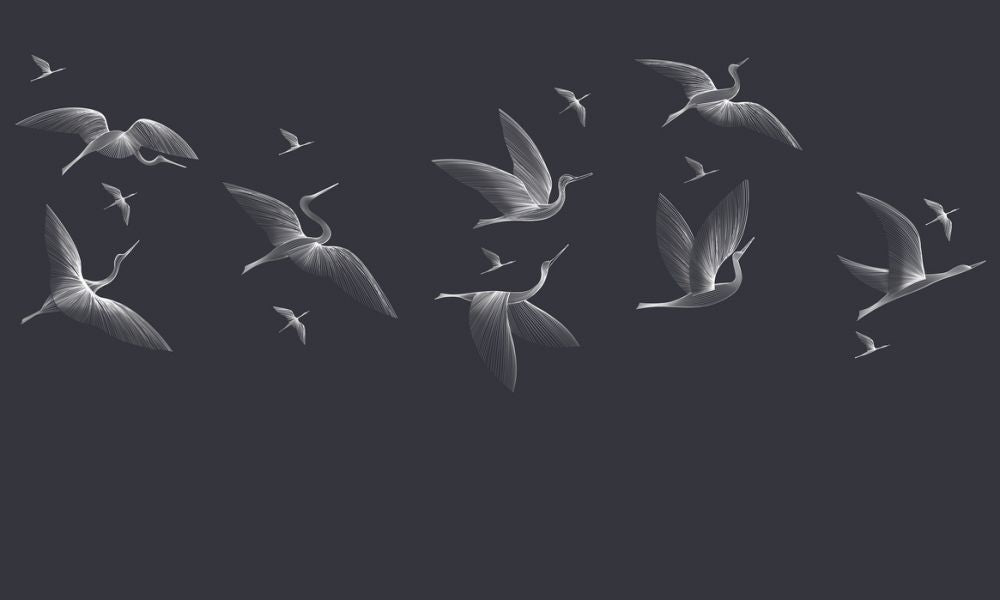 Zoom