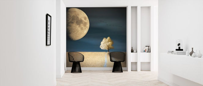 PHOTOWALL / GMO (e317811)