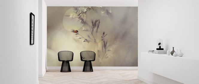 PHOTOWALL / Little Lady (e317818)