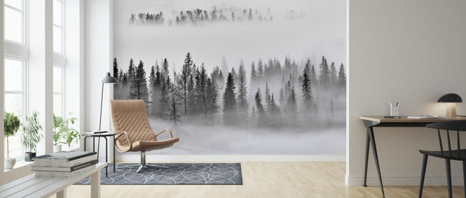 PHOTOWALL / Foggy Forest (e317621)