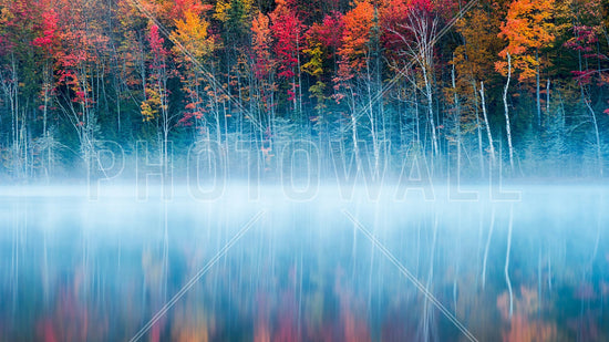 PHOTOWALL / Morning Reflection (e317628)