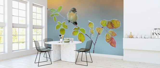 PHOTOWALL / Winter Colours (e317766)