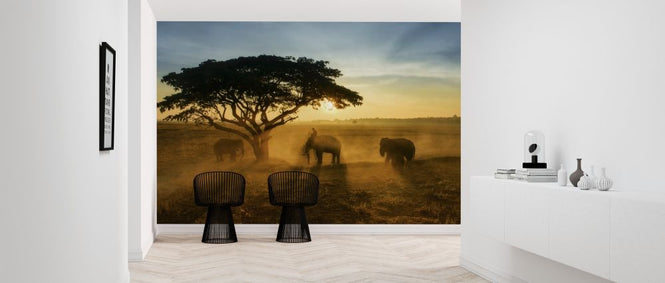 PHOTOWALL / Morning Elephant Home Town (e317778)