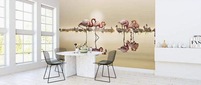 PHOTOWALL / Flamingos (e317782)