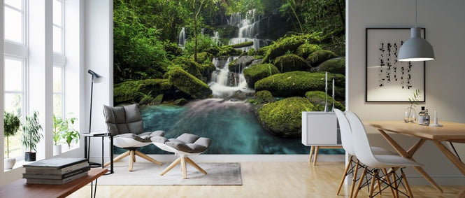 PHOTOWALL / Waterfall in Green Forest (e317852)