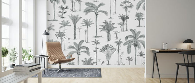 PHOTOWALL / Brazilian Palms - Ash Green (e319274)