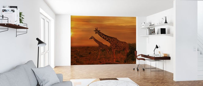 PHOTOWALL / Elephants and Giraffes (e317881)