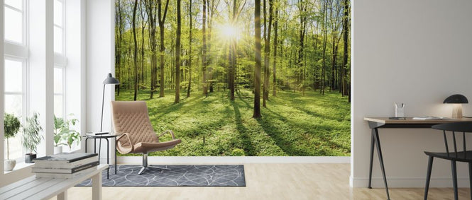 PHOTOWALL / Forest in Bright Sunshine (e317954)