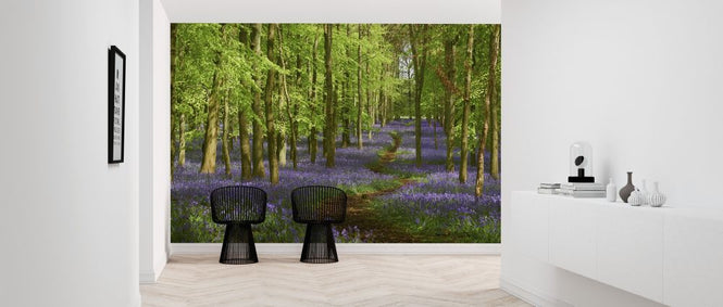 PHOTOWALL / Springtime Bluebell (e318021)