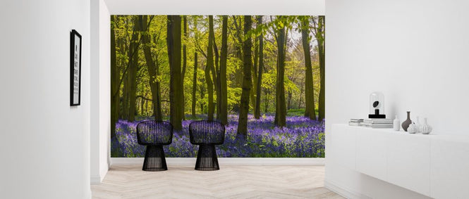PHOTOWALL / Bluebells Woodland (e318022)