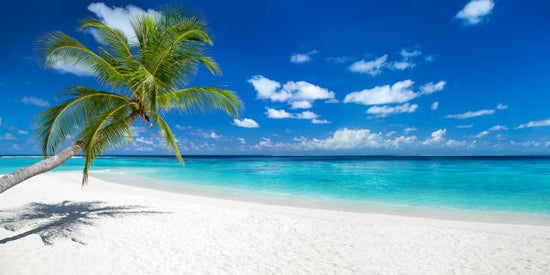 PHOTOWALL / Tropical Beach (e318060)