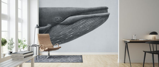 PHOTOWALL / Blue Whale Head (e320009)