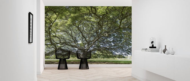 PHOTOWALL / Majestic Tree (e318191)