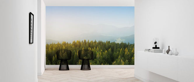PHOTOWALL / Pine Forest at Sunrise (e318270)